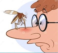 Dia Mundial do Mosquito