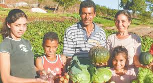 Teixeira de Freitas - BA: Feira de Agricultura Familiar Agroecológica UNEB Campus X