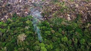 Amazônia Brasileira