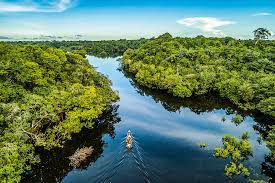 Dia 05 de Setembro: Dia da Amazônia