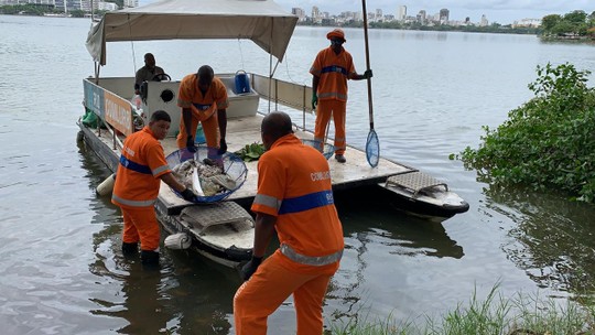 Peixes mortos voltam a aparecer na Lagoa Rodrigos de Freitas